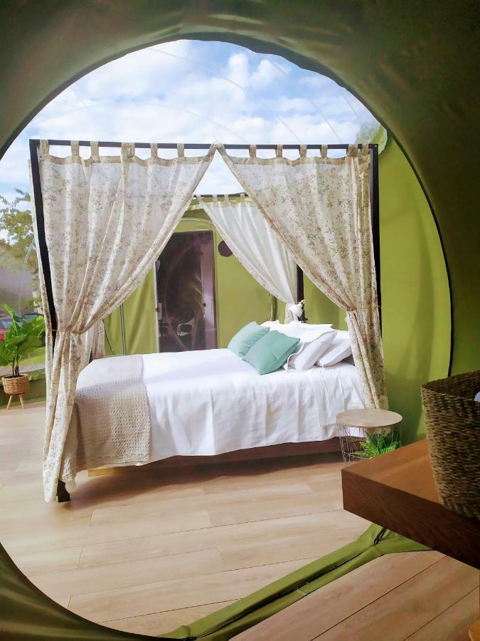 Remanso De Trasfontao Casa Das Arbores & Bubble Сильеда Экстерьер фото